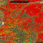 Gestion des risques climatiques -3